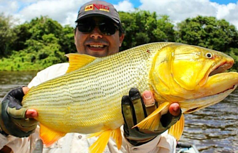 Pousada Porto Jofre Pantanal Norte Hotel Bagian luar foto